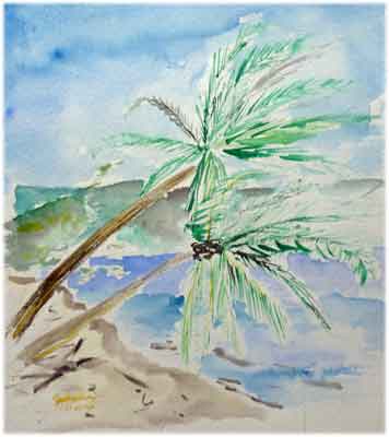 Les cocotiers, la plage